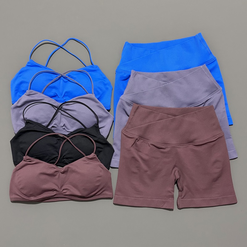Conjunto de gimnasio de visión - Pilates Yoga Outfit reseña y precio