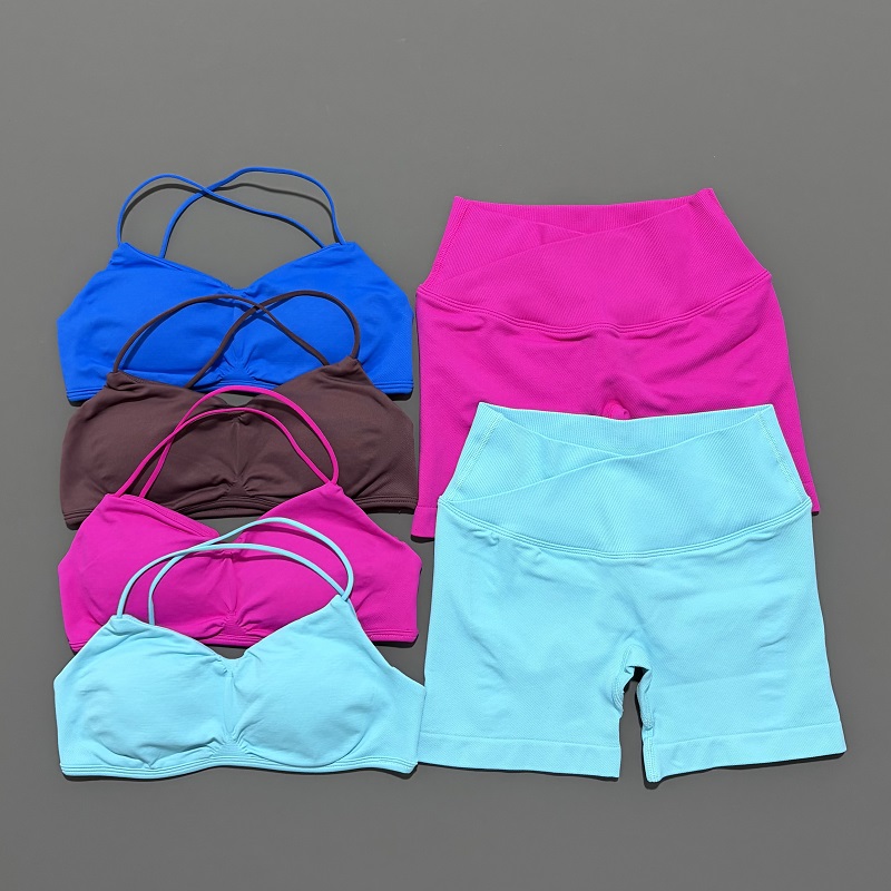 Conjunto de gimnasio de visión - Pilates Yoga Outfit reseña y precio